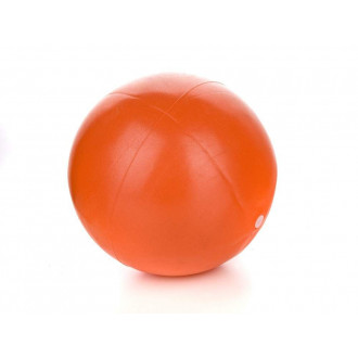 Mini míč  30 cm - SPORTWELL